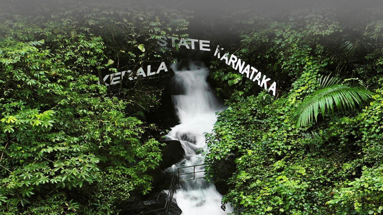 Holistic Stay Eco-Resort & Ayurvedic Retreat Paithalmala Екстериор снимка