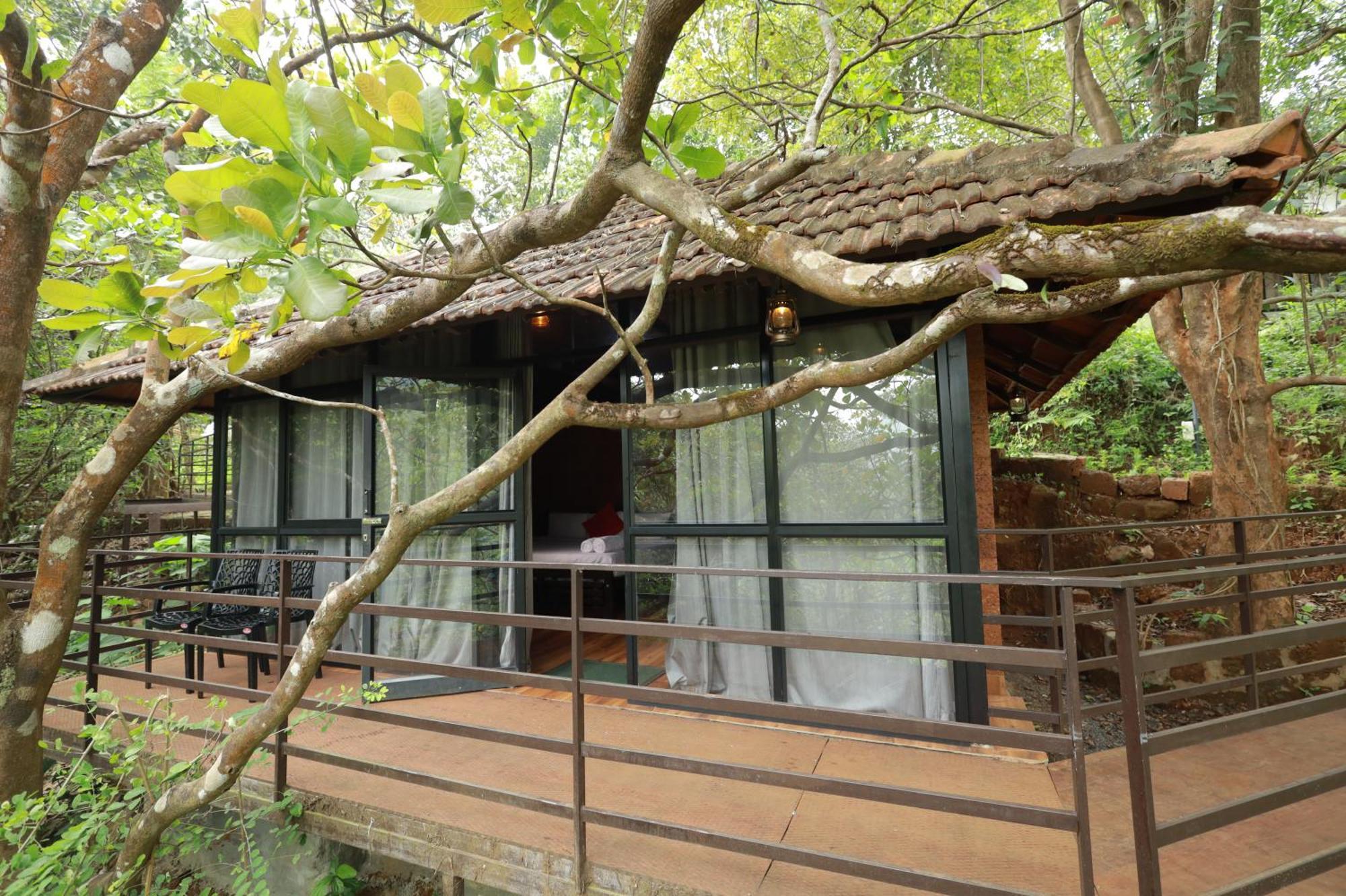 Holistic Stay Eco-Resort & Ayurvedic Retreat Paithalmala Екстериор снимка